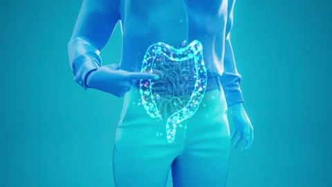 Conceptual animation of the gut microbiome Stock-Footage 304342570