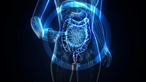 Conceptual animation of the gut microbiome Stock-Footage 304342770