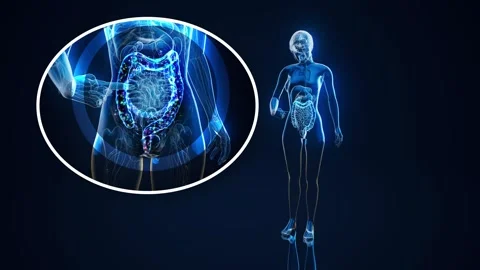 Conceptual animation of the gut microbiome Stock-Footage 304904529