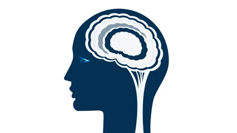 Conceptual animation of the working brain, Stock Footage 106832629