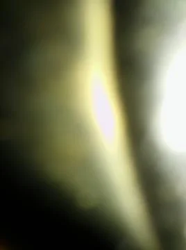 Conceptual black and white pattern with different elements  with shadows and  Foto stock