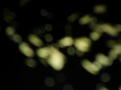 Conceptual black dark texture with different elements. Background with abstra 写真素材