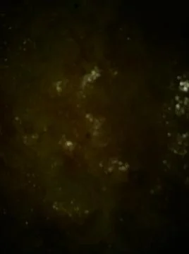 Conceptual brown dark texture with different elements. Texture with abstract  Foto stock