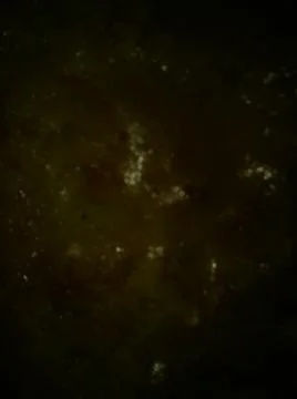 Conceptual brown dark texture with different elements. Texture with abstract  Foto stock