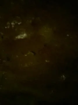Conceptual brown dark texture with different elements. Texture with abstract  스톡 사진