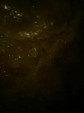 Conceptual brown dark texture with different elements. Texture with abstract  Stockfoto's