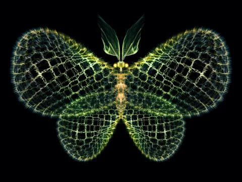 Conceptual Butterfly Stock Illustration