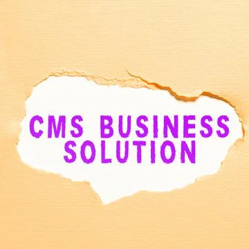 Conceptual caption Cms Business Solution. Business approach software application 스톡 사진