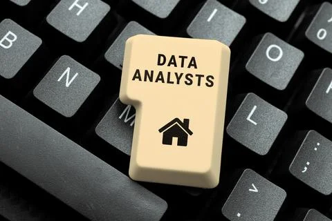 Conceptual caption Data Analysts. Business concept Programmer Design and Create Stock Photos