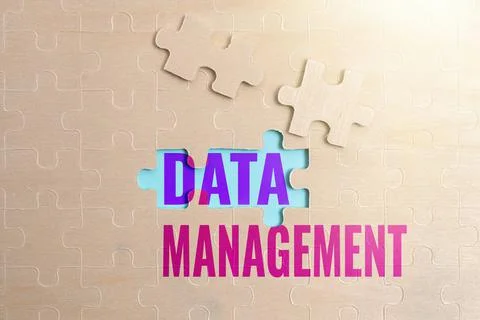 Conceptual caption Data Management. Business approach disciplines related to Stock Photos