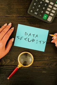 Conceptual caption Data Security. Business overview Confidentiality Disk Stock Photos