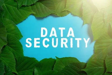 Conceptual caption Data Security. Business showcase Confidentiality Disk Stock Photos