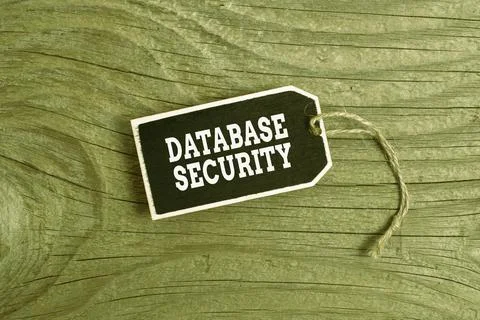 Conceptual caption Database Security. Business approach security controls to 写真素材