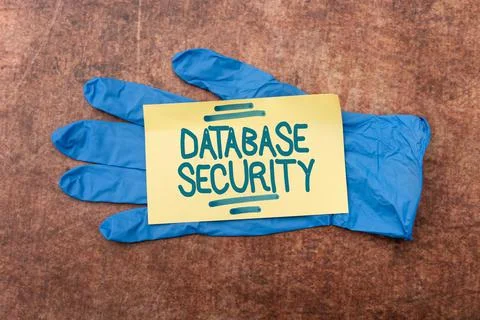 Conceptual caption Database Security. Concept meaning security controls to Stock Photos