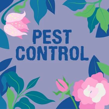 Conceptual caption Pest Control. Word for Killing destructive insects that イラスト素材