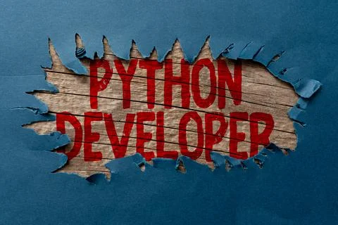 Conceptual caption Python Developer. Concept meaning responsible for writing Stock Photos