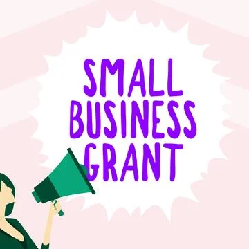 Conceptual caption Small Business Grant. Business overview an individual-owned Stock Illustration
