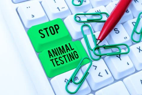 Conceptual caption Stop Animal Testing. Word Written on put an end on animal Stock Photos