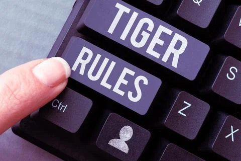 Conceptual caption Tiger Rules. Word Written on Willpower and personal strength Stock Photos