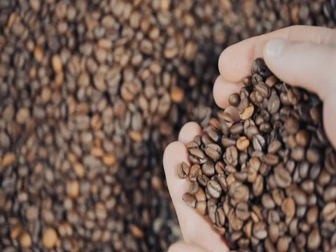 Conceptual clip of coffee beans, slow motion Vídeos de archivo 73670427