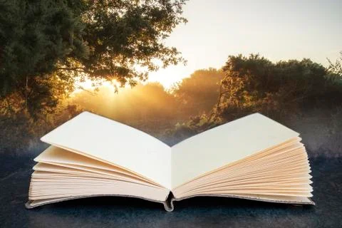 Conceptual composite open book image of Stunning dawn sunrise landscape in mi Stock Photos