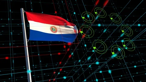 Conceptual cyber attack with an animated Paraguayan flag Stock Footage 100154770