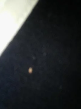 Conceptual dark texture with different elements. Texture with abstract effect Stock Photos