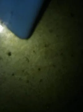 Conceptual dark texture with different elements. Texture with abstract effect Stock Photos