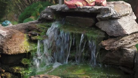 Conceptual decorative composition Stock Footage 141617432