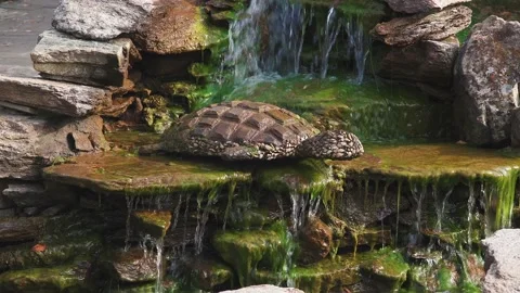 Conceptual decorative composition Stock Footage 141617457