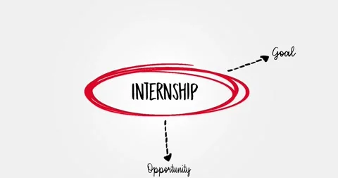 Conceptual Diagram Highlighting Key Aspects of an Internship Program Stock Footage 312759096