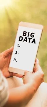 Conceptual display Big Data. Word for sets that so complex that traditional Stock Photos