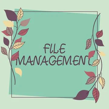 Conceptual display File Management. Internet Concept computer program that Stock Illustration
