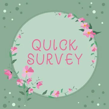 Conceptual display Quick Survey. Concept meaning Conduct fast check on condition Stockillustratie