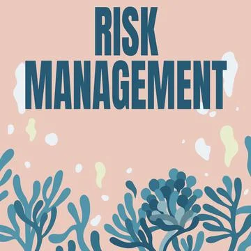 Conceptual display Risk Management. Concept meaning evaluation of financial Stockillustratie