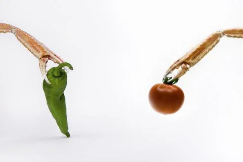 Conceptual excavators moving two objects Stock Photos