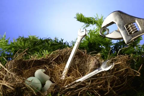 Conceptual Feeding Time Stock Photos
