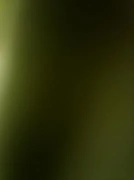 Conceptual gold rough dark texture with different elements. Texture with abst Foto stock