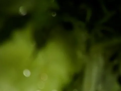 Conceptual green dark texture with different elements. Texture with abstract  스톡 사진