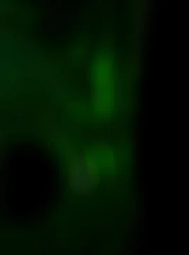 Conceptual green dark texture with different elements. Texture with abstract  Foto stock