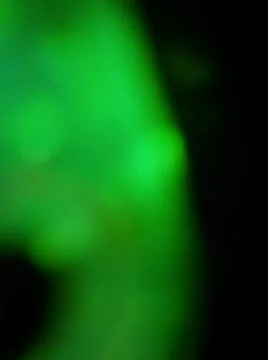 Conceptual green dark texture with different elements. Texture with abstract  스톡 사진