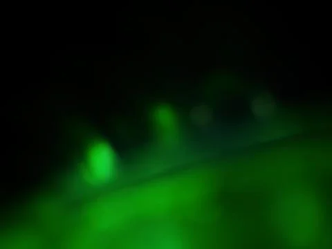 Conceptual green pattern with different elements  with shadows and light Foto stock