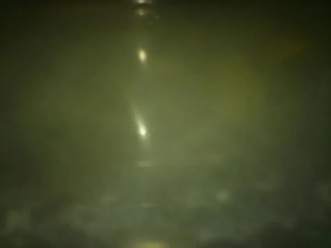 Conceptual green texture with different elements. Texture with abstract effec Stock Photos