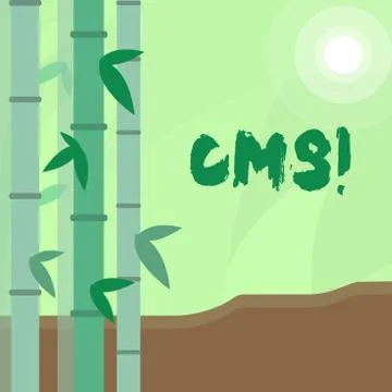 Conceptual hand writing showing Cms. Business photo text Content Management Stockillustratie