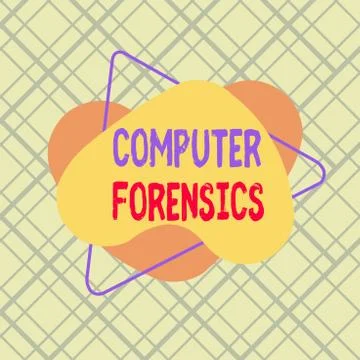 Conceptual hand writing showing Computer Forensics. Business photo text the Illustrazione stock