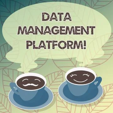 Conceptual hand writing showing Data Management Platform. Business photo text Illustrazione stock