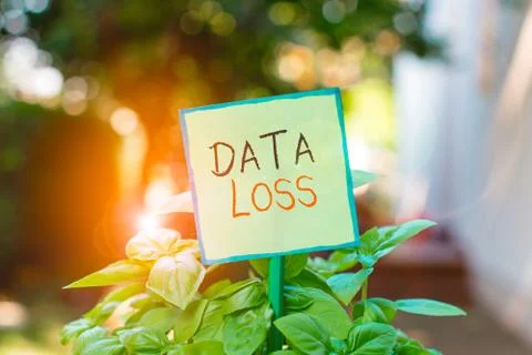 Conceptual hand writing showing Data Loss. Business photo text process or event Stock Photos