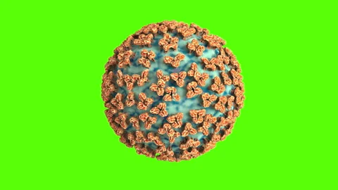 Conceptual Hantavirus 3D Particle on Green Screen Stock Footage 334435375