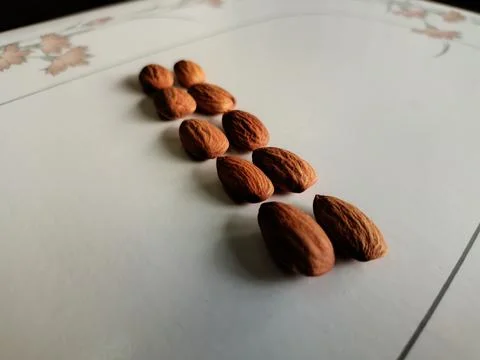 Conceptual idea, teamwork, unity, coordination, cooperation, almonds in a line Stock Photos