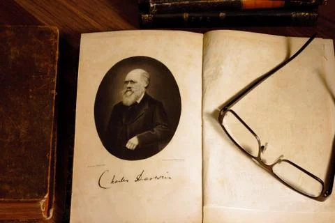 Conceptual image for biological evolution - Charles Darwin Stock Photos